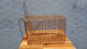 Lồng Bẫy Chuột Thông Minh Chốt Chặn Dài 21cm Cao 14cm Rộng 14cm - Gói Đơn