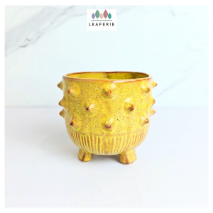 The Leaferie Nico plant pots. flowerpot . flowerpots flower pot planter planters Ceramic