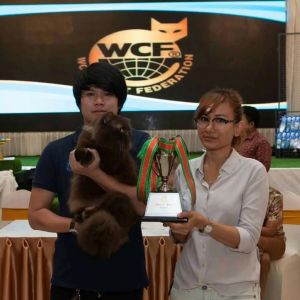 แชมพูแมวแก้ขนร่วงออร์แกนิค PETSMILE 500ml