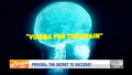 Modalet v.200 Focus Formula | Cognitive Lifestyle Support | The Big Brain Brand. 
