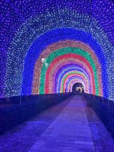 ไฟกระพริบ LED 9 เมตรเต็ม 100ดวงเต็ม มอก ไฟปีใหม่ สีกระพริบ ไฟประดับ คริสต์มาส ไฟแต่งห้อง ไฟนิ่ง ปรับได้ 8 จังหวะ ไฟแต่งสวน ไฟสวยงาม