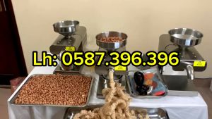 Máy ép dầu lạc vừng hạnh nhân óc chó đậu phộng RX01 ép kiệt 95%