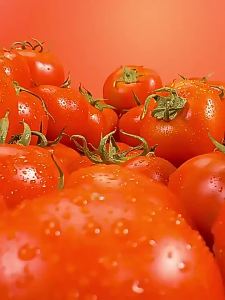 Zero Fat No Additives Tomato Sauce