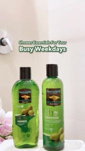 HERBORIST Body Wash Series - Aloe Vera | Zaitun | Frangipani