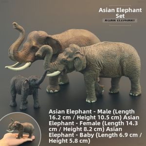 MENGSILE | Solid Realistic Educational Toy Animal Model Elephant