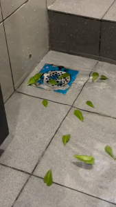 A-CLASS PP51 Polyaspartic Polyurea Transparent Waterproof Glue Coating New Tech Upgraded Lifespan & No Yellowish | No Hack Bathroom Waterproof | Anti Leak | No Yellowing | UV Resistant | Tile Waterproof Repair / Salutan Gam Kalis Air Lutsinar / 天冬聚脲透明防水胶