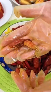 100PCS Disposable TPE PE Gloves Cleaning Gloves Baking Hairdressing Kitchen Hotels Restaurants Bathroom Cleaning Tools