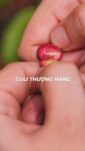 [TẶNG PHIN CÀ PHÊ] Hộp Quà Cà Phê Honey Moka 150g - Mật Ong Hoa Cà Phê Nguyên Chất Chính Hãng Ban Me Gold - Honee Coffee