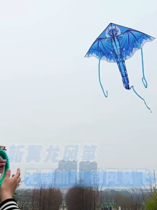 【JOJO.1】ว่าวพลาสติก เสา + สายว่าว (40-50M) 1 ชุด ว่าวกระดานมือทำ รับแรงลมสูง ของเล่นสําหรับเด็ก