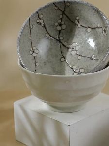 Mino Yaki | Elegant Personal Ceramic Noodle Bowl 17CM