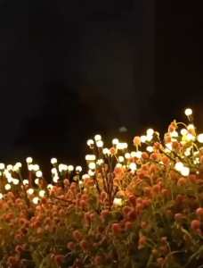 Lampu Taman Kunang-Kunang LED Outdoor Solar Energy untuk Dekorasi Kolam & Halaman Rumah