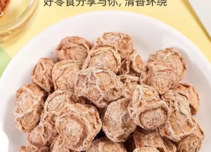Jiuzhi Salted Jiuzhi yang sah dan manis yang sah disimpan dalam air 250g 500g   九制话梅