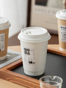 NUOXIAN | Insulated Disposable Drinking Cup with Lid