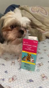 Free 3cc Syringe 120ml Lc Vit Syrup Dog Cat Daily Healthy Vitamins All Stages Adult Kitten Puppy Pet