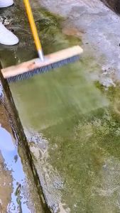Stainless Steel Floor Brush With Wood Handle For Pool Moss Cleaning Steel Brush For Floor