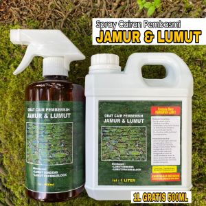 Spray PEMBERSIH LUMUT | PAVING BLOCK & JAMUR DING - DING Rumah | 1 LITER GRATIS 500ML