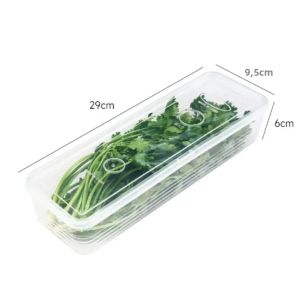1/5 Hộp Đựng Thực Phẩm Trong Tủ Lạnh Hộp Kín Giữ Tươi Cho Hành Lá Rau Củ Hộp Bảo Quản Thực Phẩm Có Nắp Đậy