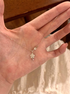 Shiny Star Pendant Necklace Womens Style 2025 New High-End Sensation Luxury Small Audience Elegant High Aesthetic Value Clavicle Chain