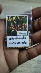 100 เมล็ด พริกกะเหรี่ยง เมล็ดพริกกะเหรี่ยง เมล็ดพริก พริก พริกกะเหรี่ยงเมล็ดสั้น