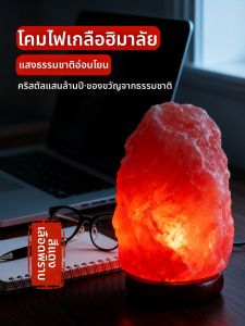 Wealth-Attracting Himalayan Salt Lamp