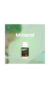 BARLEYPRO 30 TABLETS: GOOD INTAKE FOR DIABETIC AND HYPERTENSION MANAGEMENT