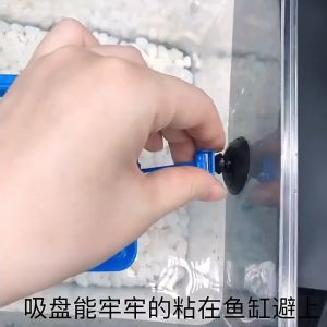 Vòng cho cá ăn giữ thức ăn nổi | Khay cho cá ăn