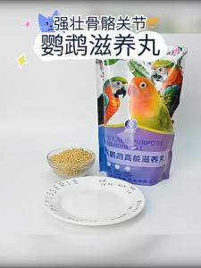 Thức Ăn Dinh Dưỡng Cho Vẹt Nhỏ