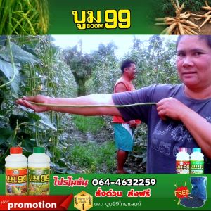 โปรโมชั่น 3 ชุด🔥 บูม99 ขนาด 1 ลิตร เก็บโค้ดส่งฟรีก่อนสั่ง‼️
