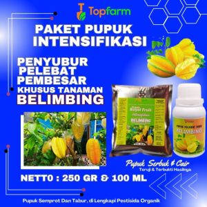 Pupuk Penyubur Buah Belimbing / Pupuk Belimbing Wuluh / Pupuk Pelebat Buah Belimbing / Pupuk Belimbing / Pupuk Buah Belimbing / Pupuk Belimbing Madu