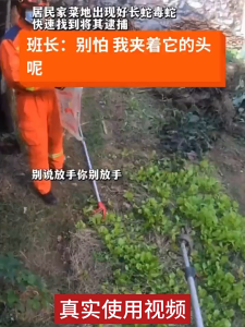 Safe Grip Stainless Steel Snake Grip 1.5m Long Snake Grip Snake Grip Sword Snake Grip with Safety Lock Stainless Steel Material Snake Trap