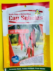 Benih Cabe Besar IKI WAE F1 isi 1500bj dari CAP SEBELAS joss