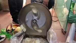 Máy thái sợi Inox 100% thái rau củ quả cà rốt củ cải cải bắp tím xúc xích chả giò