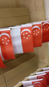 【61th Flag】100-1000pcs Singapore flag decoration for national day party supplies 14*21cm/20*28cm