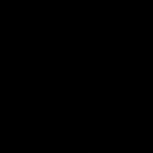 [ 日本熊野Japan Kumano  ] 沙龍級特級護髮素桃/歐洲花香  Salon Link Extra Conditioner -1000ml【Toasty Life 】