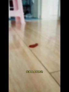 Thickened detachable and washable lazy floor shoe cover for household use universal indoor foot cleaning cloth for wet and dry cleaning