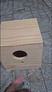 1 tổ sinh sản 18*18*18 cho yến phụnglovebird parrotlet bằng gỗ thông có kèm khay rút đáy dễ dàng vệ sinh tổ