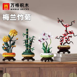 Đồ Chơi Lắp Ráp Khối Gỗ Wange Miniature Model Bonsai Trồng Hoa Vĩnh Cửu Đồ Trang Trí Trí Tuệ Thủ Công Đồ Chơi Giáo Dục Cho Trẻ Em