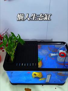 HUICHONG | Filtering Aerator Decorative Fish Tank for Small Spaces Goldfish