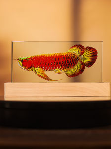 ตกแต่งคริสตัลเงินทองงูเทือกเขาหิมาลัยหรูหรา เครื่องประดับตกแต่งสำหรับรั้วประตู ตู้บาร์ ตู้เสื้อผ้า ห้องนั่งเล่น ตกแต่งภายในบ้าน