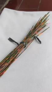 List Strip Inlay Edging Binding Young Abalone