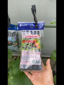 10 kẹp giữ thân cây kẹp ống phi 8-11-16-20 kẹp định hướng cây leo giàn Daim