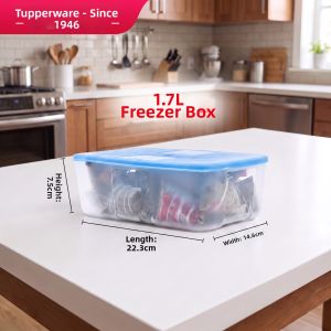 Tupperware | Freezer Fresh Portable Food Grade Sealable Container