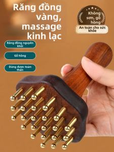 Bàn chải huyệt đạo bằng đồng thau nguyên chất Xoa Bóp Huyệt Đạo Thắt Lưng