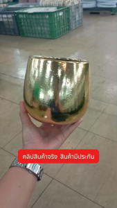 กระถางต้นไม้ กระถางเซรามิก กระถางสีทองสีเงิน สไตล์มินิมอล กระถางแคตตัส กระถางปลูกต้นไม้