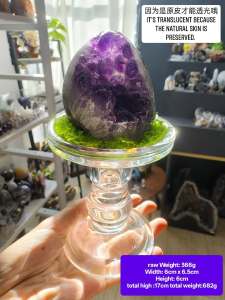 Uruguayan amethyst with natural outer skin featuring a rare green phantom surface.一颗很美的乌拉圭紫水晶原皮 稀有绿幽皮  和图内玻璃底座底座一起出 仿真水草