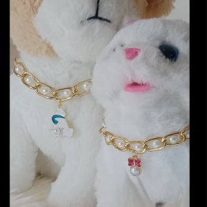 มาใหม่❗สร้อยคอสัตว์เลี้ยง | สร้อขคอสุนัข/แมว/กระต่าย ขนาดเล็ก-กลาง | โซ่ทอง ไข่มุก หรูหรา | น้ำหนักเบา| แจ้งความยาวที่ต้องการในInbox ✅ซื้อสินค้าใดก็ได้ในร้านครบ200฿รับของแถม