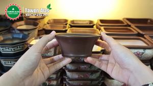 Pot Keramik Bonsai Mini Bagus
