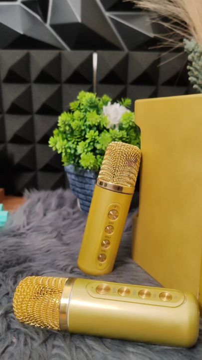 S8 100W Portable Karaoke Speaker AINEW Professional Dual Microphone Bluetooth Smart External karaoke
