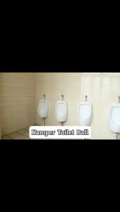 Kamper Toilet Colour Ball Isi 5Pcs / Bola Warna Warni Higienis Pengharum Sudut Ruangan Kamar Mandi Lemari Pakaian Rak Laci Serbaguna / Kapur Barus Pengusir Nyamuk Serangga Semut Rayap Super Ampuh Multifungsi Pewangi Hama Penghilang Bau Anti Lembab - HOMIA