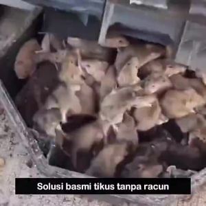Japanese Rat Resistant / Alat Pengusir Tikus Tanpa Racun / Anti Tikus Aman Efektif Bebas Tikus Hingga 10 Tahun / Perangkap Tikus Modern Ramah Lingkungan